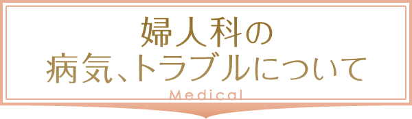 婦人科の病気、トラブルについて、詳しくはこちら
